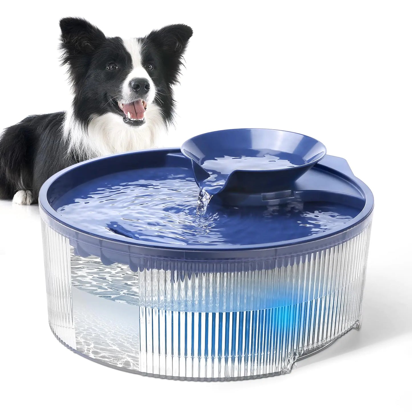 LED Pet Water Fountain – 5L Large Capacity for Dogs & Cats