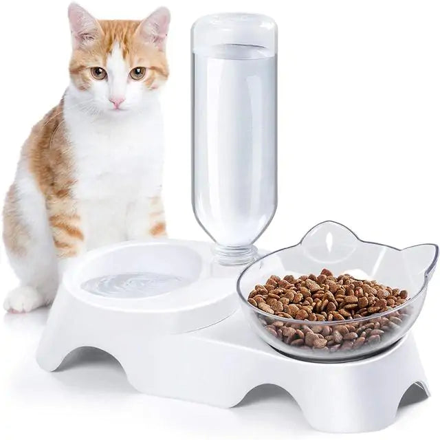 Ergonomic Tilted Food & Water Feeder Bowls (15° for Better Digestion)